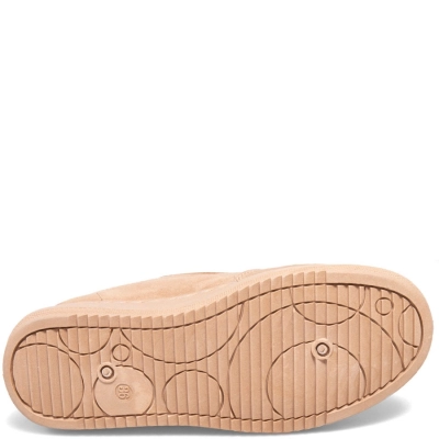 Soter / Кроссовки