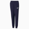 Puma / Брюки ESS Logo Pants 