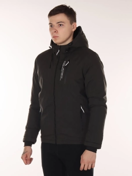 Куртка демисезонная (03fydvksmr20250919-52.jpg)