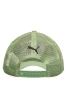 Puma / Бейсболка