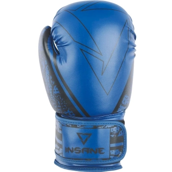 Insane / Перчатки боксерские ODIN, 12 унций Insane / Перчатки боксерские ODIN, 12 унций