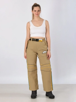 Free Cover / Брюки горнолыжные  / сноубордические