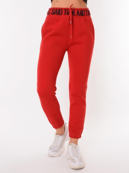 Chic and Charisma / Брюки спортивные 00468