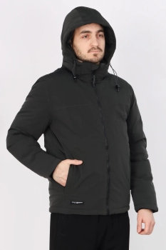 Куртка (050383817725whgtdklt1704499200-6.jpg)