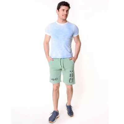 Chic and Charisma / Шорты