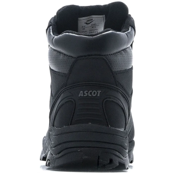 Ascot / Ботинки Coguar