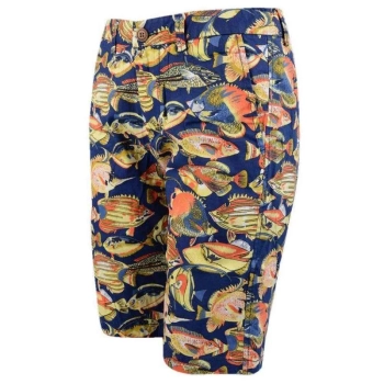 Leisure Time / Шорты Leisure Time / Шорты