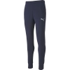 Puma / Брюки спортивные teamGOAL 23 Casuals Pants