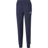 Puma / Брюки спортивные Essentials Sweatpants TR cl (s)