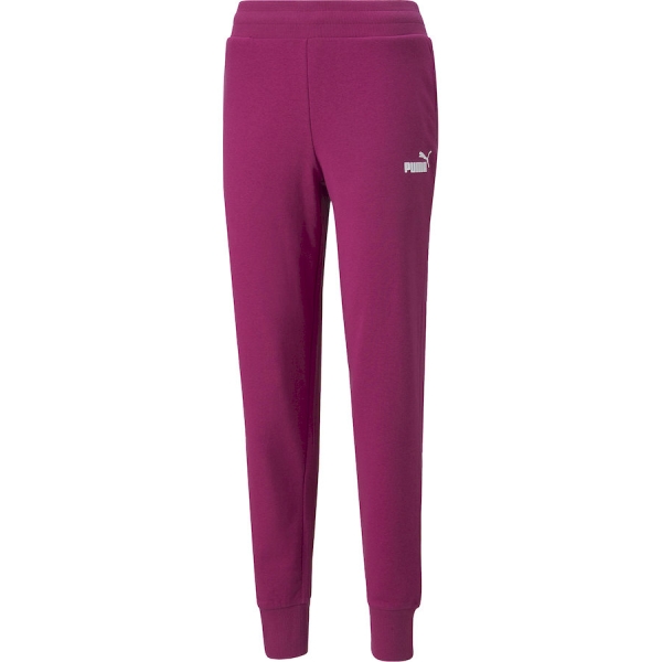 Puma / Брюки спортивные Essentials Sweatpants TR cl (s) 586843_86