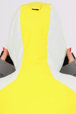 Куртка горнолыжная (052005077741qdpjiwxo1705622400-21.jpg)