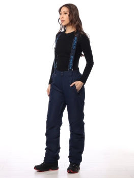 Master Class / Полукомбинезон / брюки утепленные Master Class / Полукомбинезон / брюки утепленные