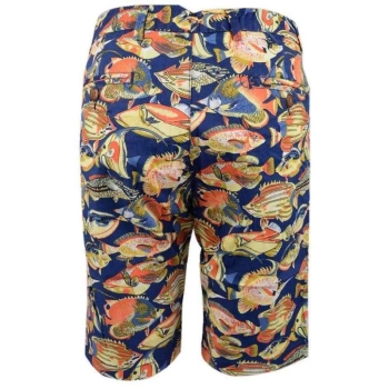 Leisure Time / Шорты Leisure Time / Шорты